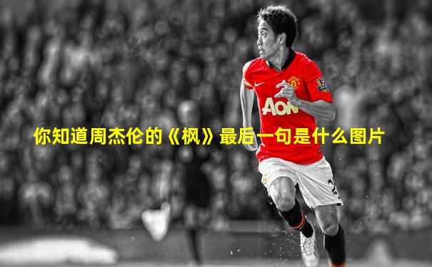 你知道周杰伦的《枫》最后一句是什么图片
