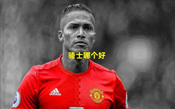 骑士哪个好