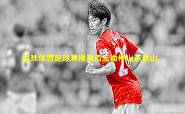 龙珠体育足球直播高清无插件山东泰山